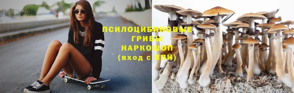 ПСИЛОЦИБИНОВЫЕ ГРИБЫ Балахна