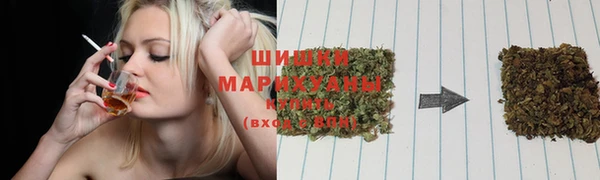 ПСИЛОЦИБИНОВЫЕ ГРИБЫ Балахна