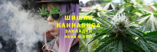 ПСИЛОЦИБИНОВЫЕ ГРИБЫ Балахна
