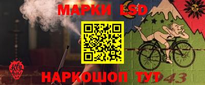 трава Кандалакша