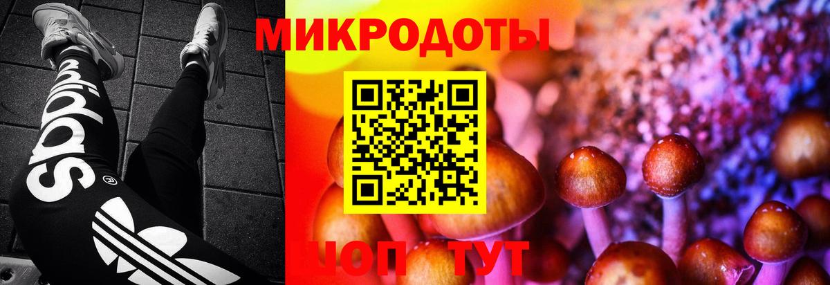 Псилоцибиновые грибы мухоморы Краснокаменск