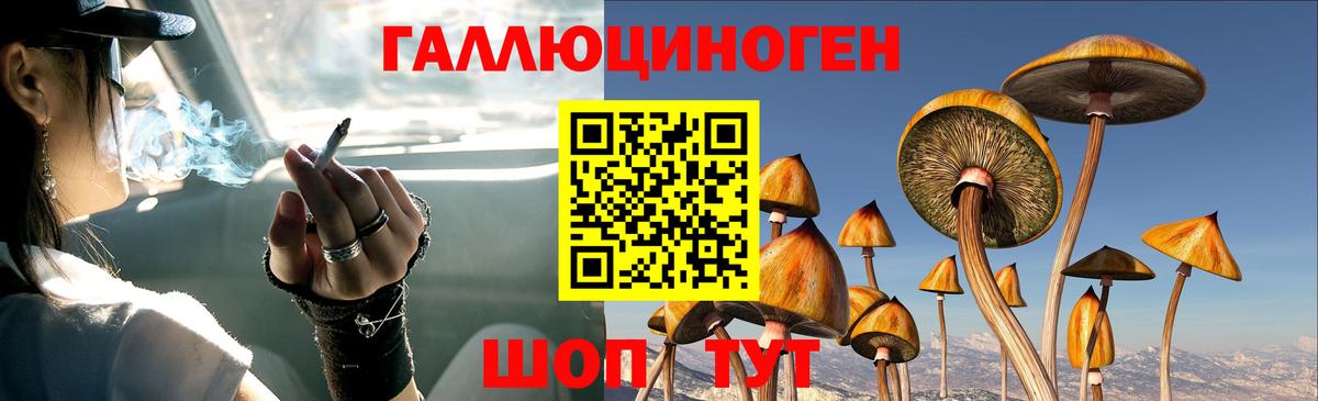 Псилоцибиновые грибы Psilocybine cubensis  Вход с VPN  Краснокаменск 