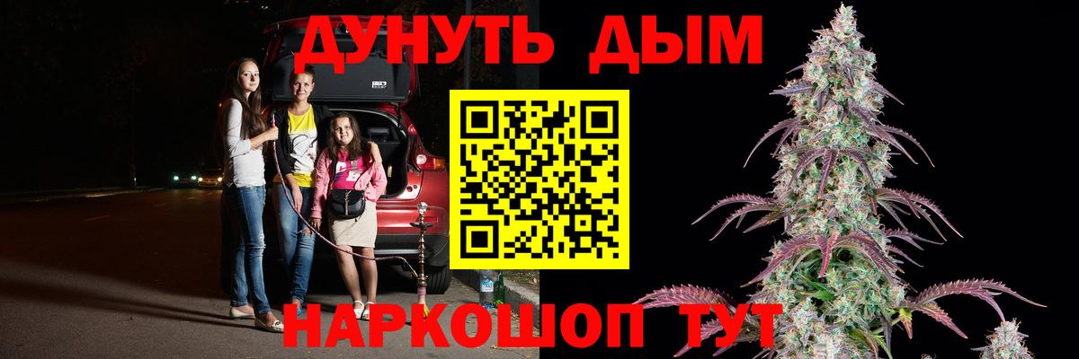 Конопля сатива Краснокаменск